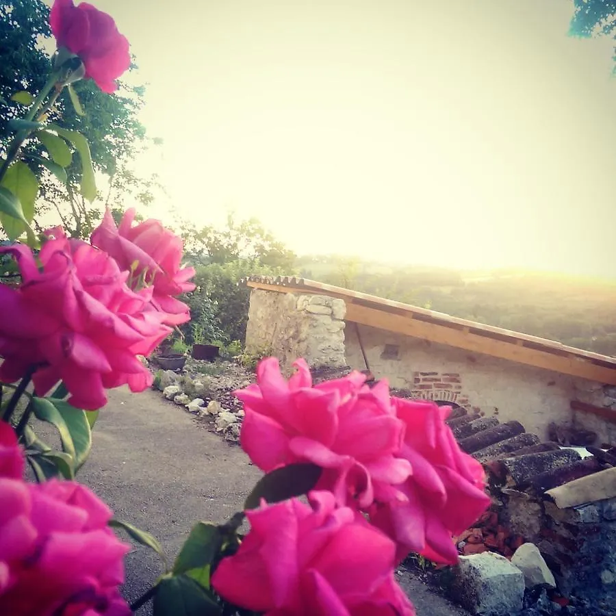 Bed & Breakfast Le Mas Des Papillons Chambre D'Hotes B&B Fargues  France