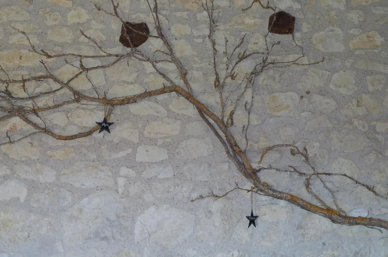 Le Mas Des Papillons Chambre D'Hotes B&B Fargues  Fargues (Lot)